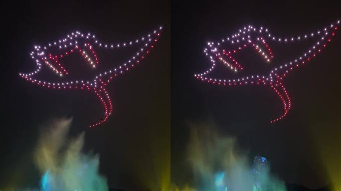 珠海长隆海洋王国烟花