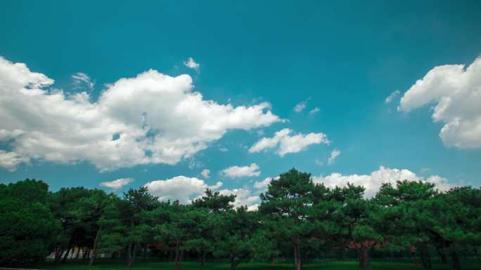 蓝天白云绿色树叶延时视频素材