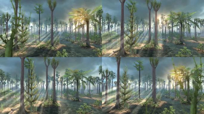 植物群 远古 原始 沼泽 森林 树木植被