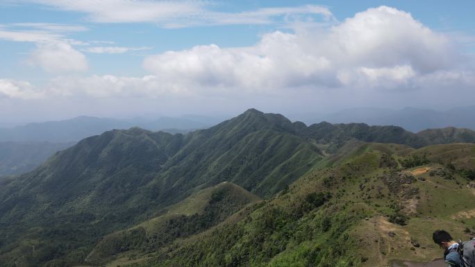 阳春鸡笼顶大草原