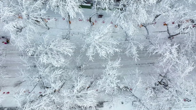 江西九江庐山风景区航拍雪景风光