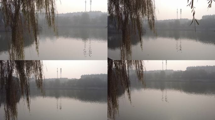 山东济南：秋天雾中小清河