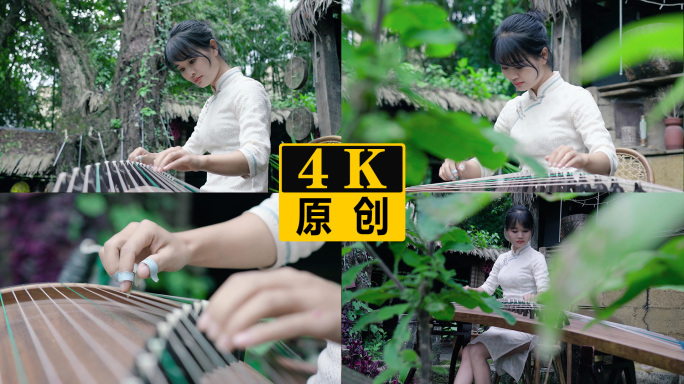 弹古筝古典古风中国风传统文化 4K50P
