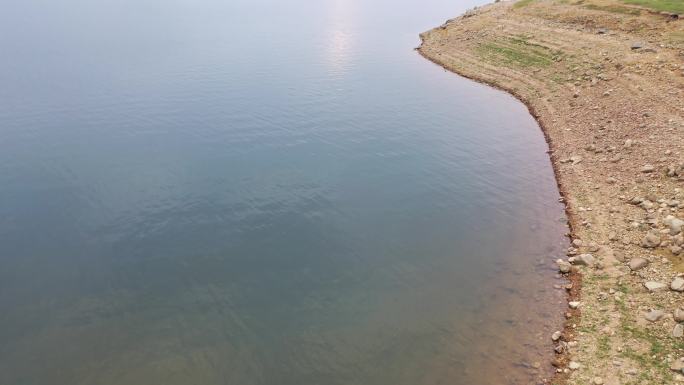 河边水边岸边俯拍河岸边水面白鹭生态湖飞鸟