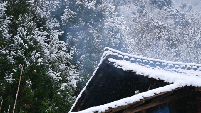 唯美山乡雪景寂静乡村下雪老家乡愁记忆