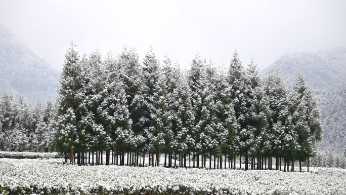 唯美山乡雪景寂静乡村下雪老家乡愁记忆