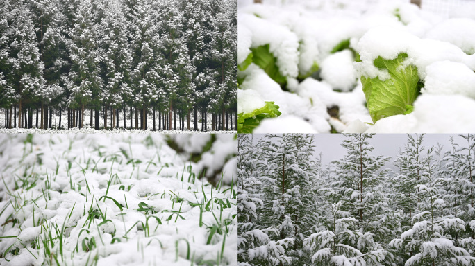 唯美山乡雪景寂静乡村下雪老家乡愁记忆