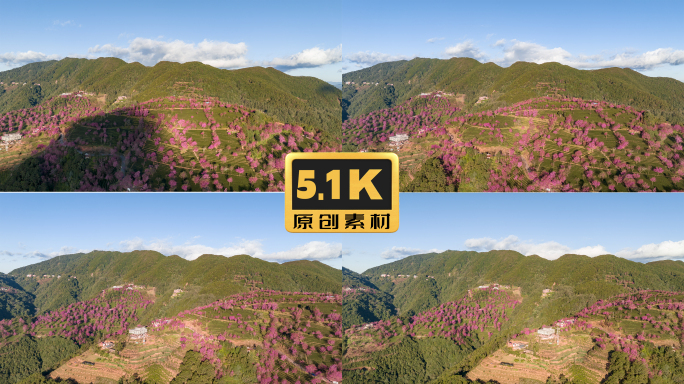 5K-南涧樱花谷航拍延时，无量山延时