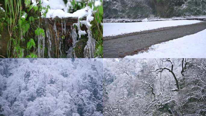 唯美冬韵原生态小河山林雪景