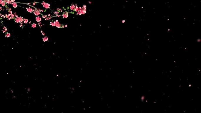 桃花枝条开花花瓣飘落-带透明通道