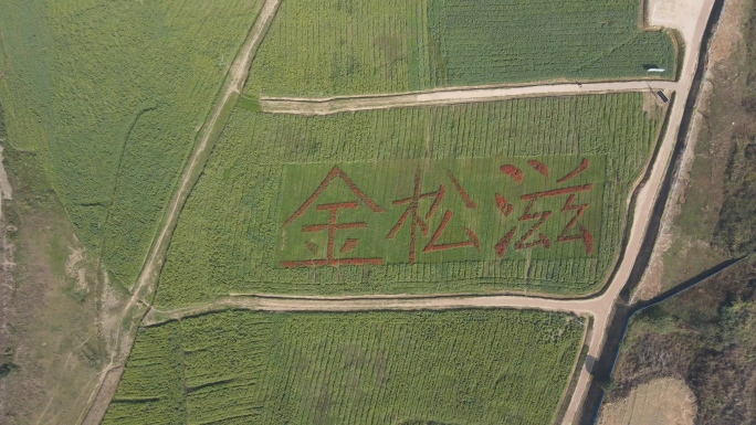 湖北荆州松滋，金松滋，美丽乡村，乡村航拍