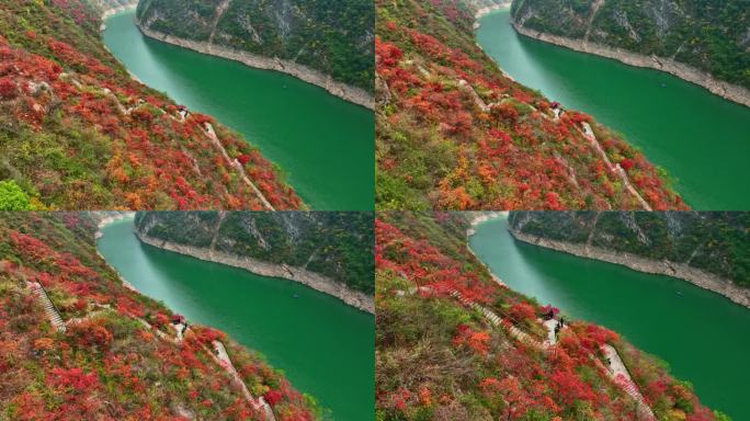 5A景区小三峡红叶