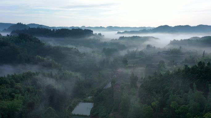 绿水青山就是金山银山