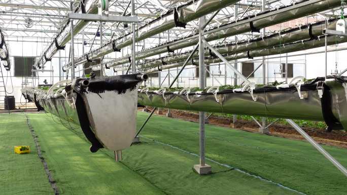草莓立体种植-移动苗床-现代农业大棚
