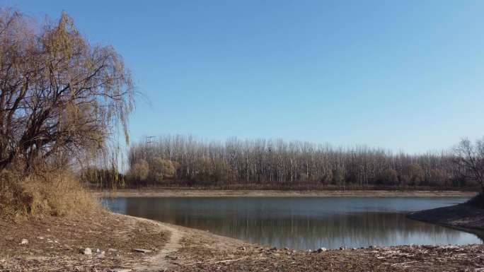 潍坊 白浪河 北辰 湿地公园 树木 冬季