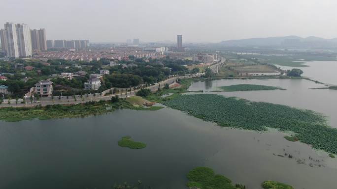 武汉江夏麻雀湖