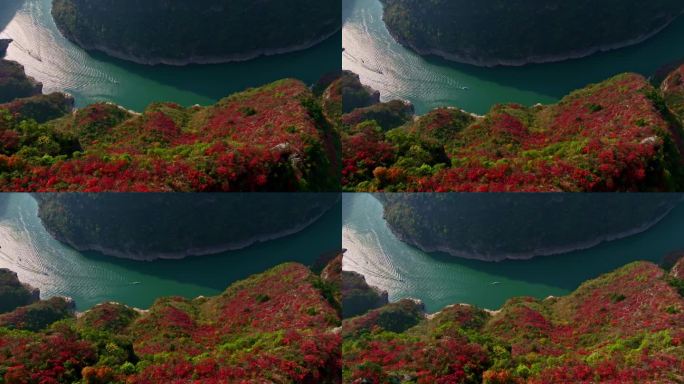 5A景区小三峡红叶