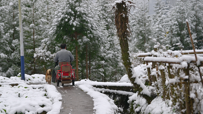 唯美山乡雪景寂静乡村下雪老家乡愁记忆