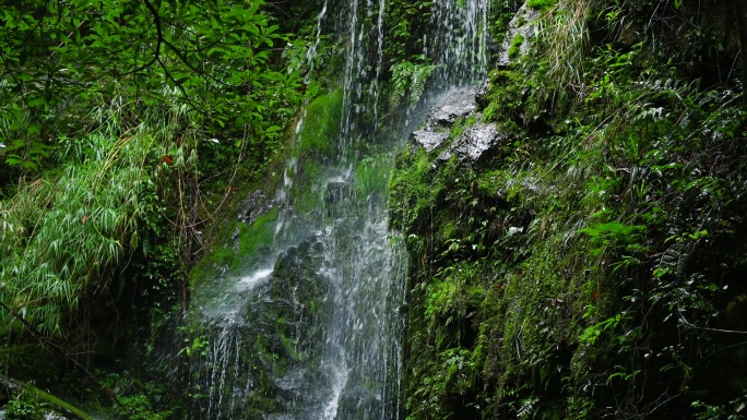 原生态清澈溪水山涧流