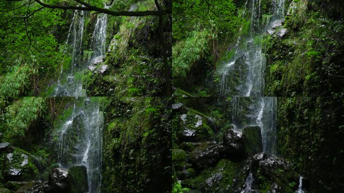 原生态清澈溪水山涧流