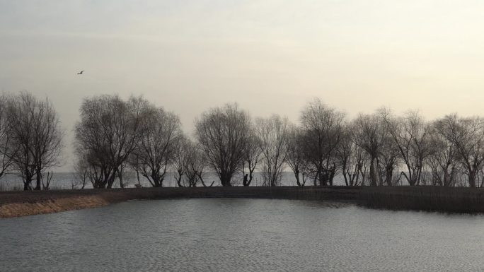 安徽合肥巢湖芦溪湿地