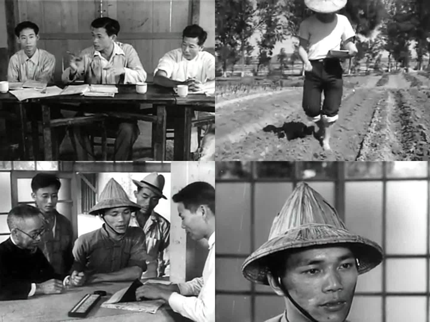 50年代台湾农业农村培训
