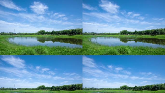 滨河森林公园池塘蓝天白云延时