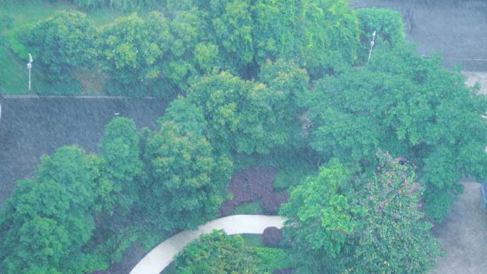 4k实拍下暴雨