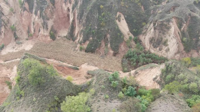 黄土山坡     山沟    沟壑