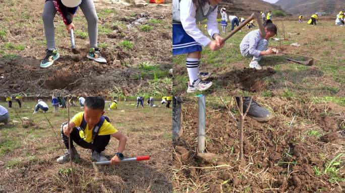 小孩学生儿童植树节种树