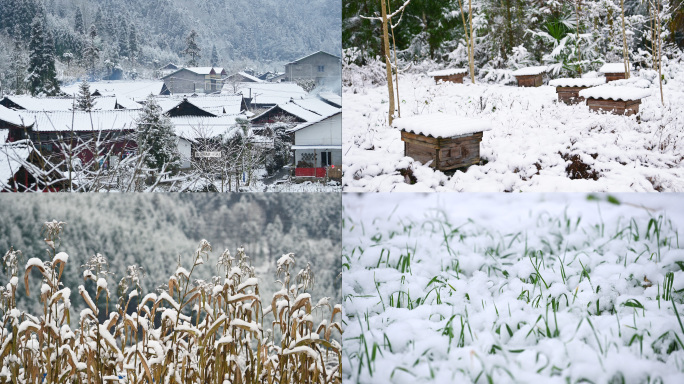 唯美山乡雪景寂静乡村下雪老家乡愁记忆