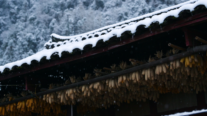 唯美山乡雪景寂静乡村下雪老家乡愁记忆