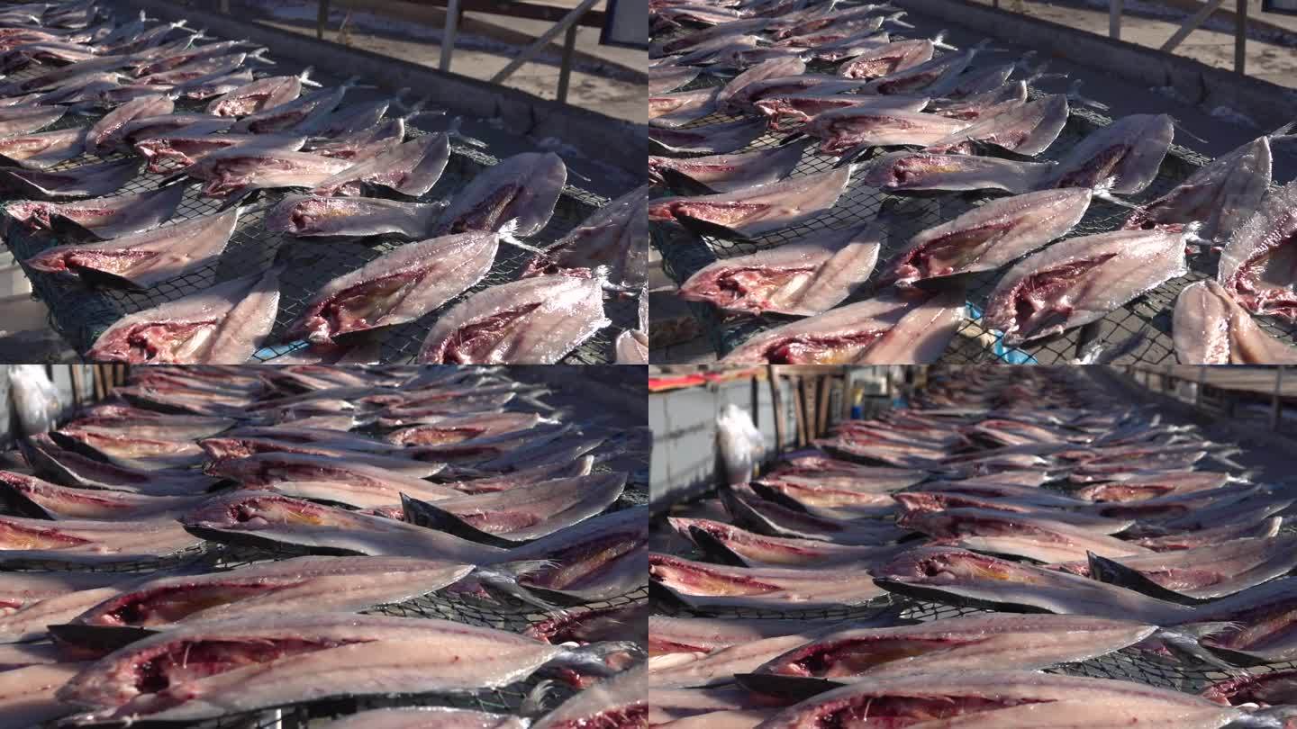 东北海边 渔民晾晒的鱼干 鲅鱼