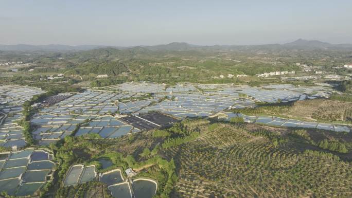 江西抚州南丰县鱼鳖养殖基地4K航拍