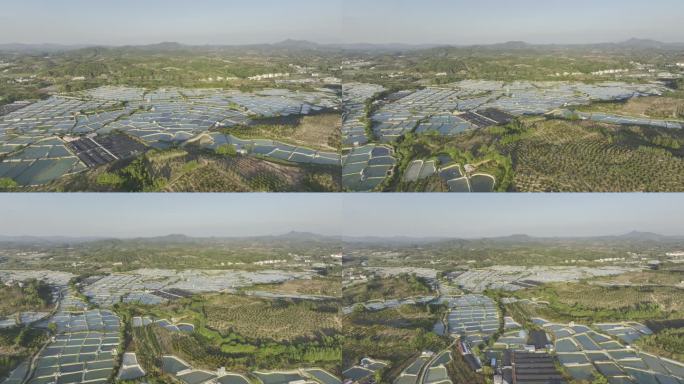 江西抚州南丰县鱼鳖养殖基地4K航拍