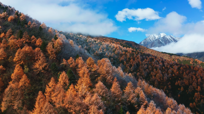 四川西藏风景风光