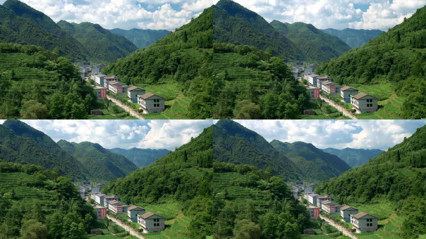 重庆 农业 高山 延时 风景