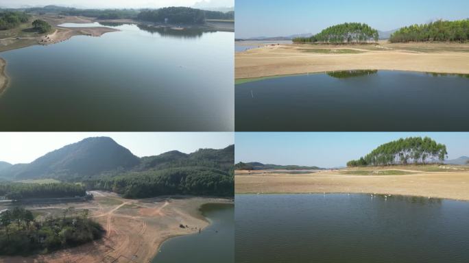 水库 湿地 枯水季