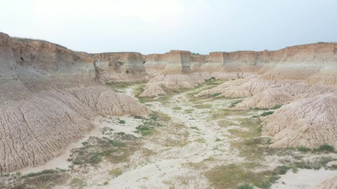 山西大同土林