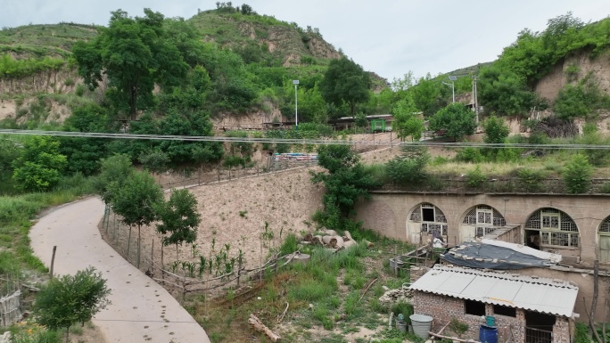 窑洞   黄土山坡    山路