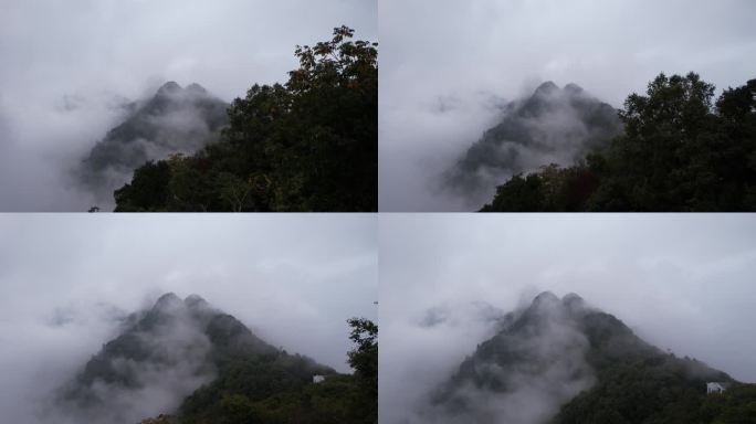 美丽云雾大山仙境