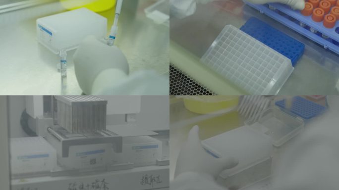 疫情核酸检测新冠实验室防控抗疫医生核酸