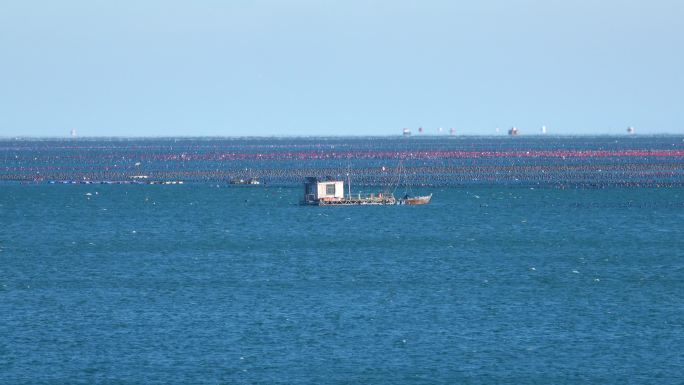 蓝天白云大海渔船 实拍大海 海鸥飞过海面