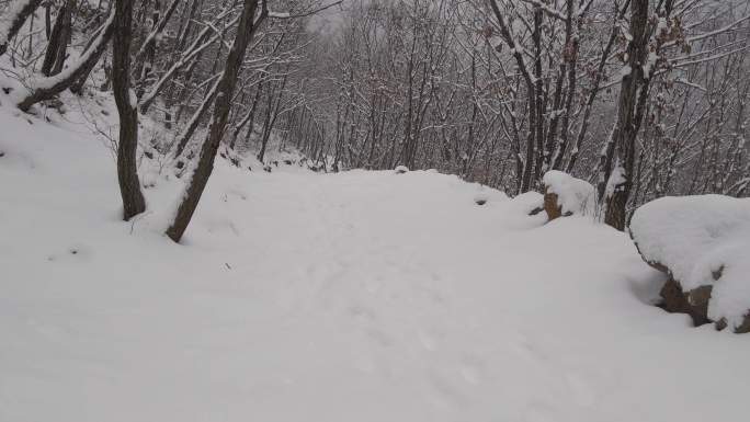 雪花落在山林小路