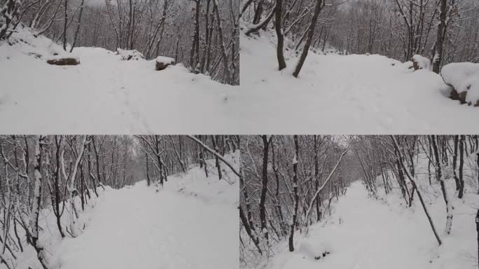 雪花落在山林小路
