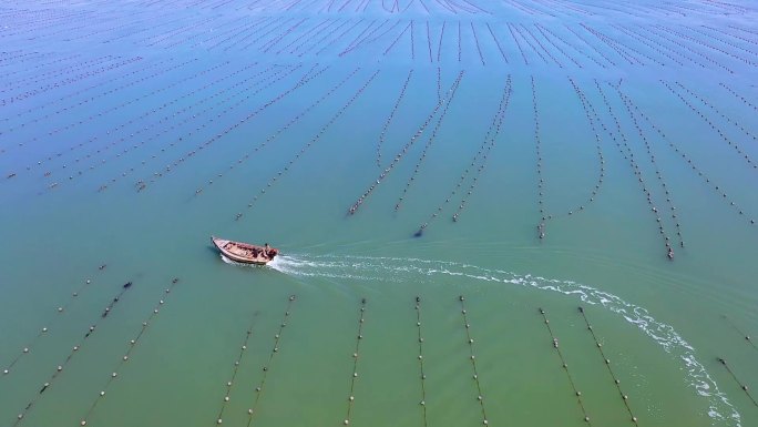 威海 海景风光 航拍素材