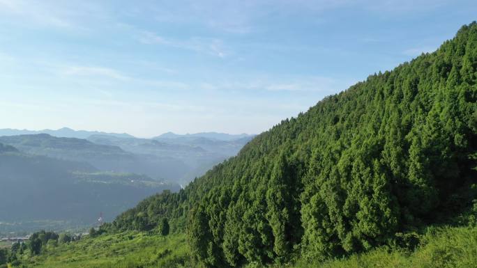 绿色森林植被 生态环保 绿水青山