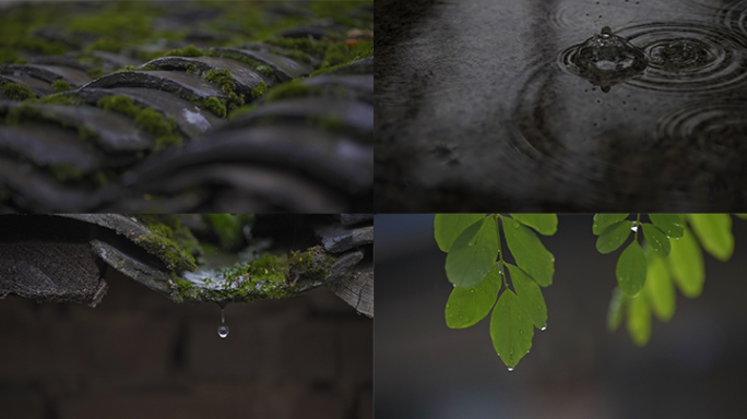 雨水谷雨立春意境屋檐雨滴滴水