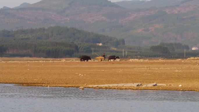 乡村 农村 牛车 风景 素材