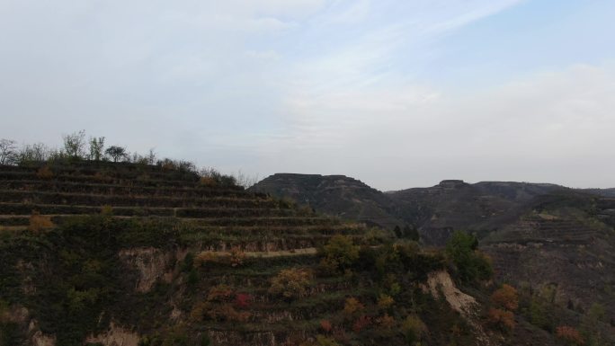 黄土山坡   梯田   沟壑